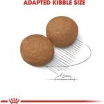 Royal Canin Maxi Adult - Image 5